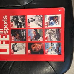 Life In Sports Large Book