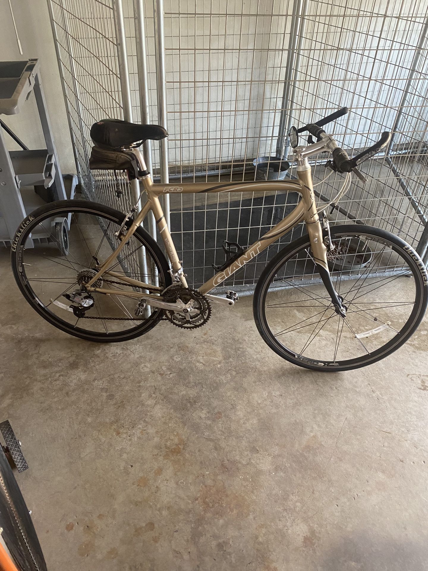 Giant 10 Speed