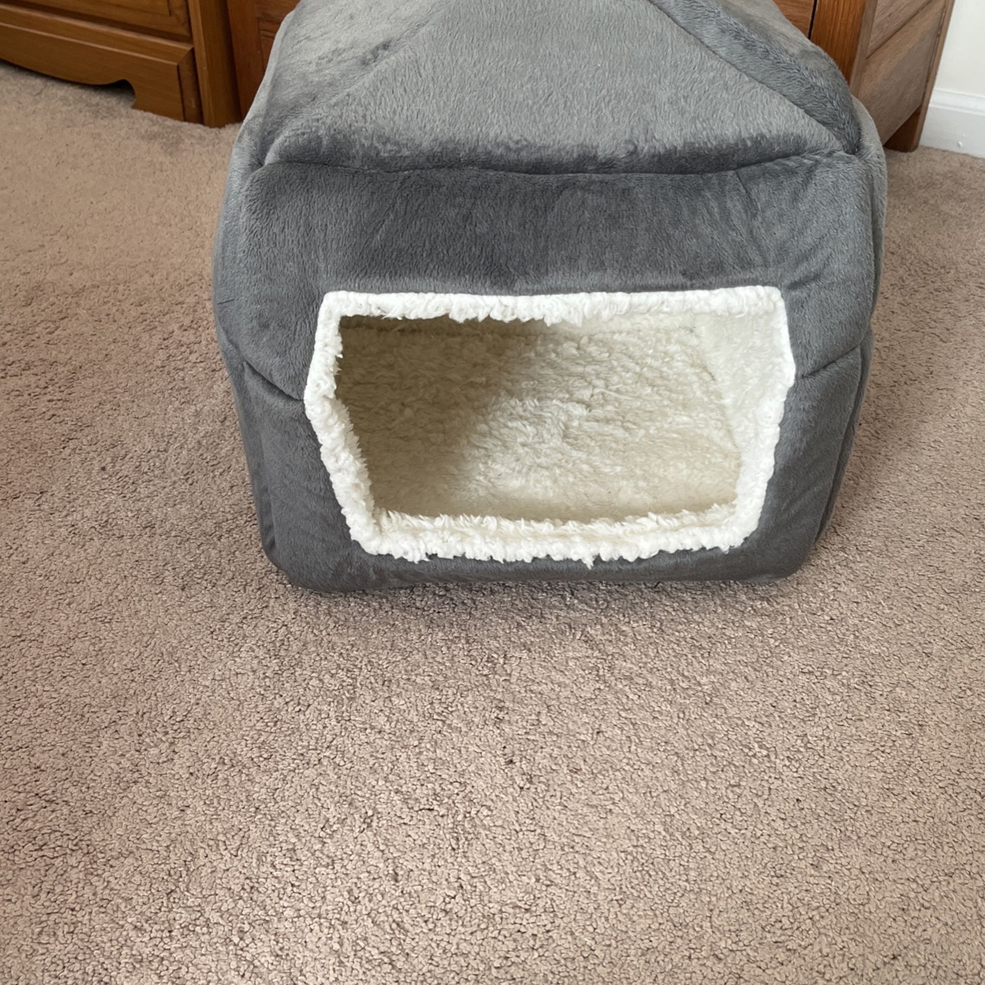 Cat Bed