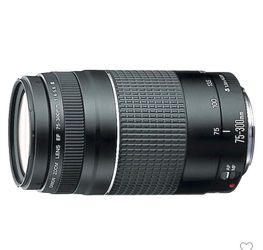Canon EF 75-300mm f/4-5.6 III Zoom Lens