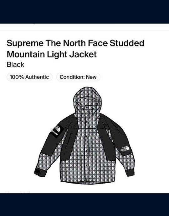 Supreme The North Face Light Jacket Size Large