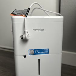 Homelabs Dehumidifier 