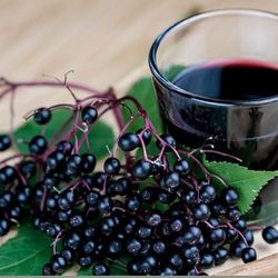 Elderberry syrup