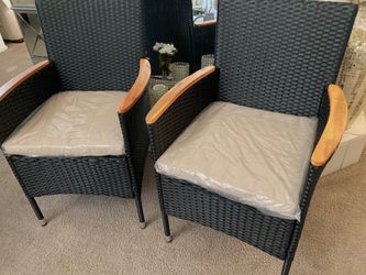 Outdoor/Indoor Chairs
