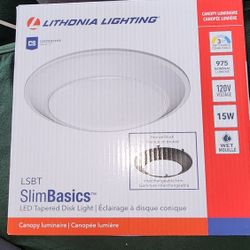 LED tapered disk light 