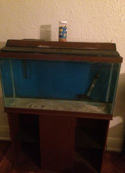 30 gallon tank full set up $75