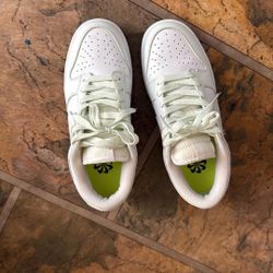 Nike Dunk