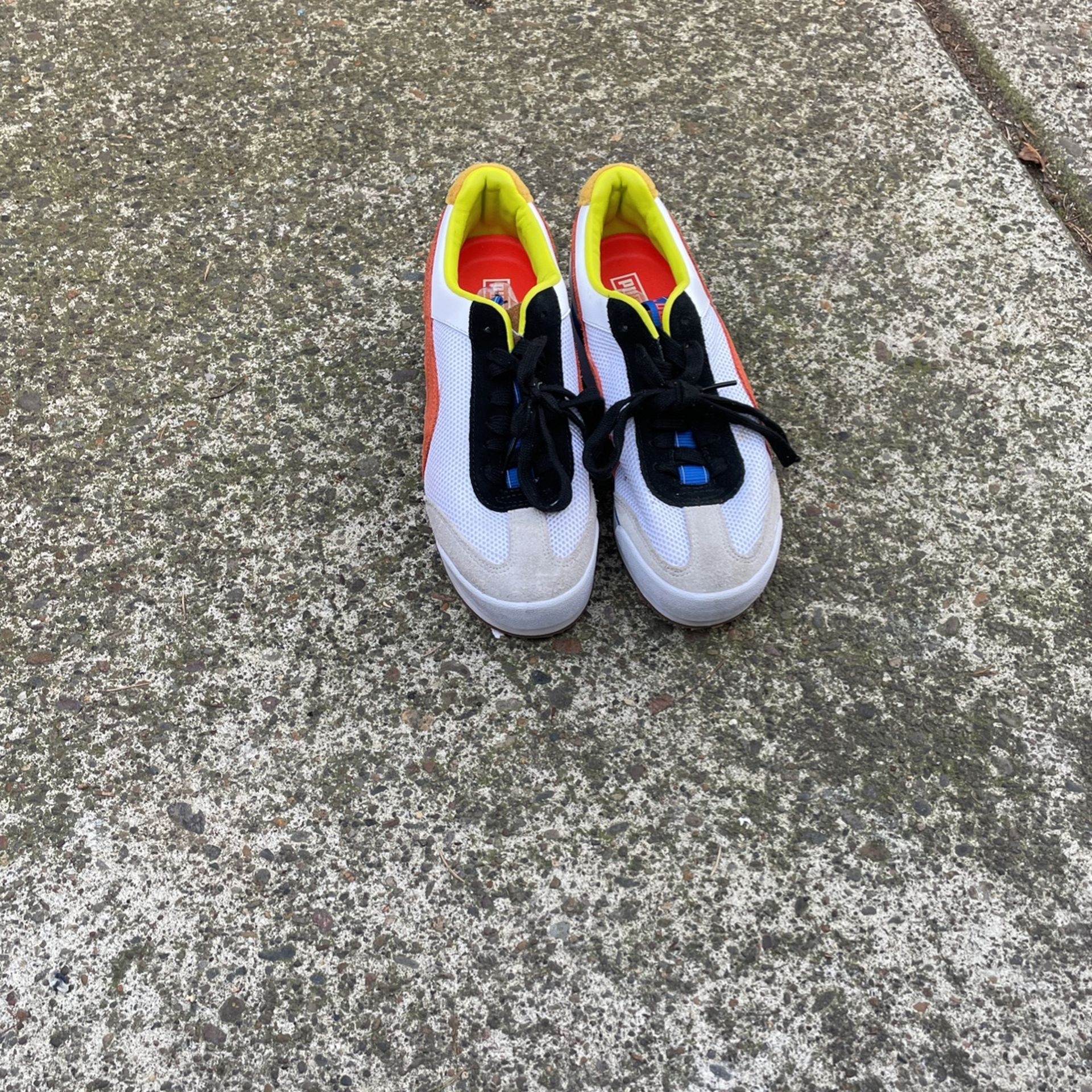 Pumas