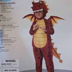 Dragon Costume 
