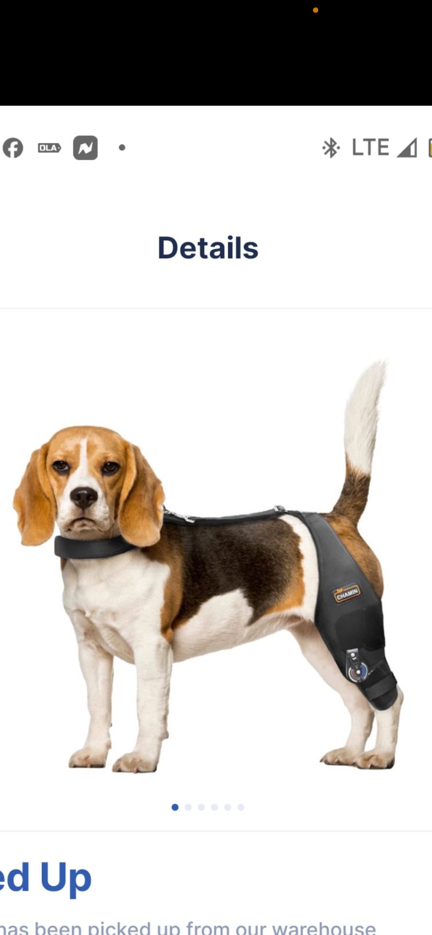 Adjustable Dog Knee Brace Med