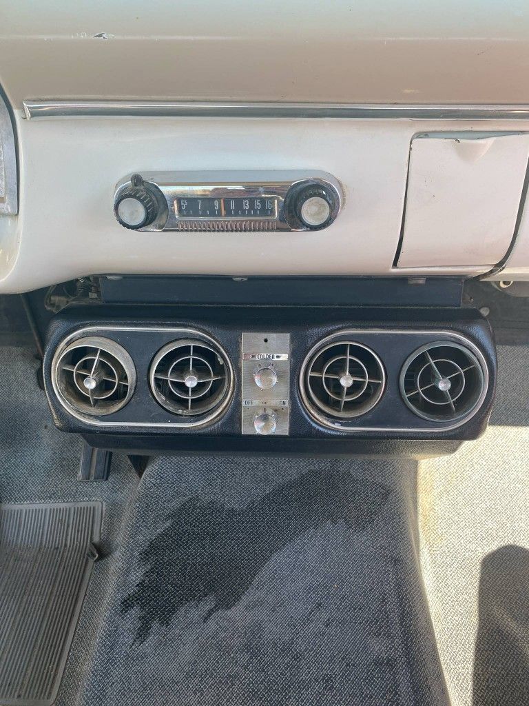 1965 Ford F100