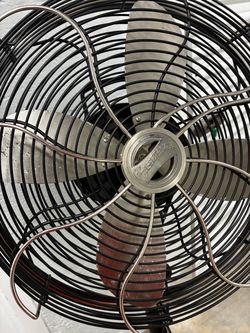 Fan