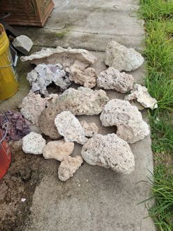 Aquarium  dry rock