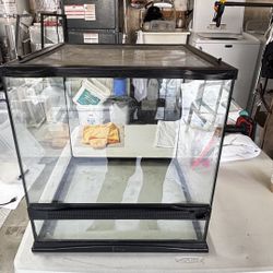 Reptile Terrarium Zoomed With Plants 