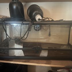 Reptile cage 