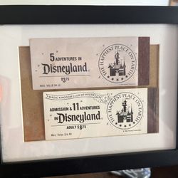 Disneyland Tickets