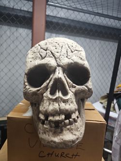 Foam Skeleton Head