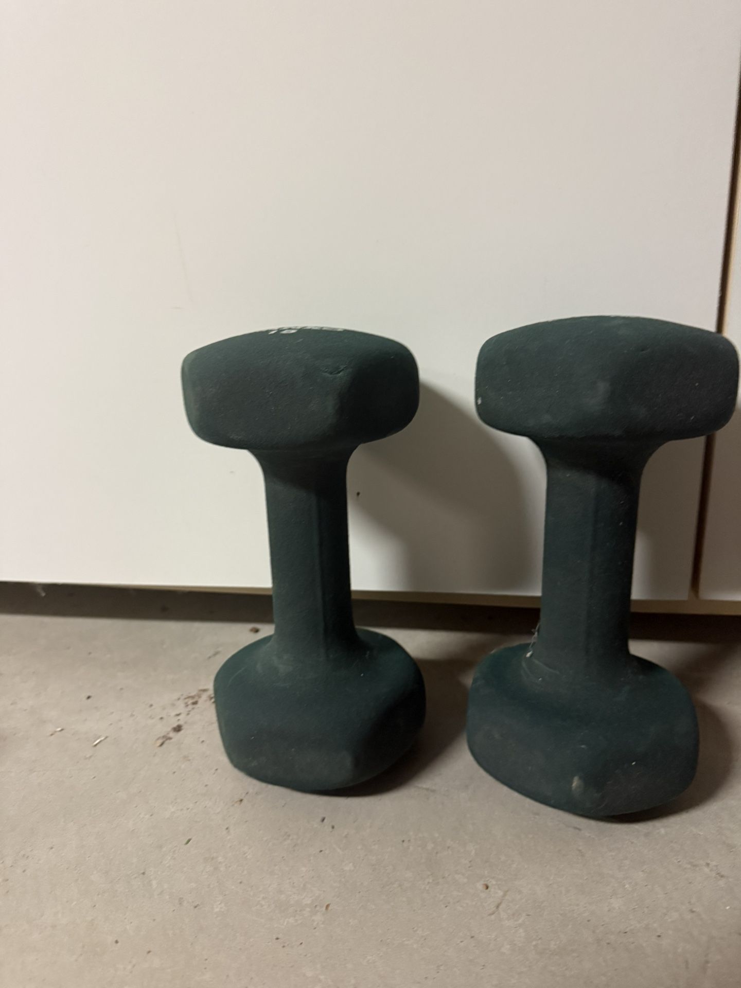 15 Lb Weights 