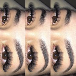 Lash extensions
