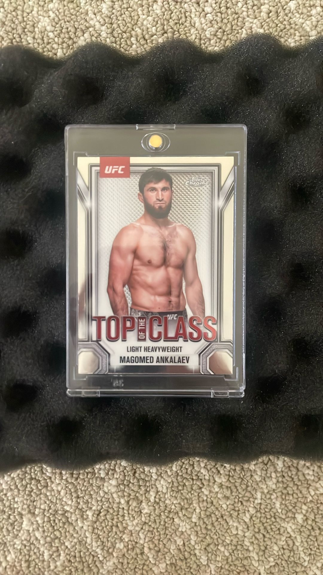 UFC Topps 2025 Card