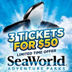 SeaWorld San Diego Ticket 