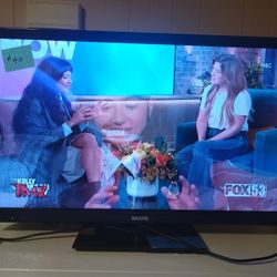 19 Tv Sanyo
