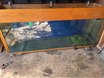 Fish tank