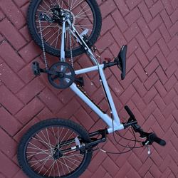 Boys Nishiki 20 Silver Bike