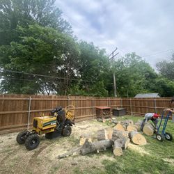 GOOD PRICE ON 🌳🌳Removal 