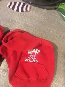 Hoodies for a little dogs