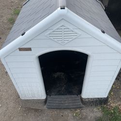 Dog House
