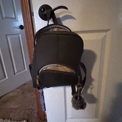 Purse/backpack 
