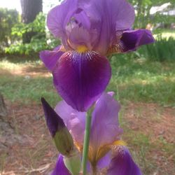 Spring Planting Time!