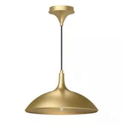 Open Box New Slots Mood 14 in. 1 Light Abel 60-Watt Brushed Gold Pendant Light