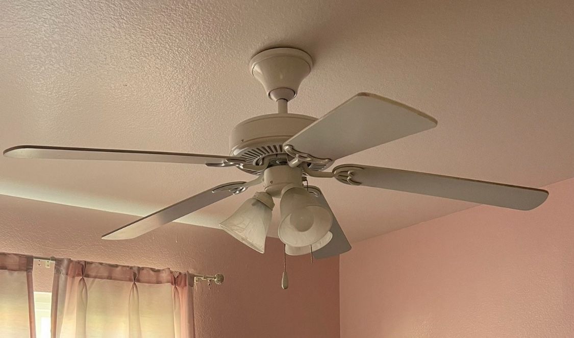 Fan