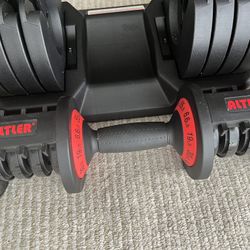Altler Adjustable 55LB Dumbbell