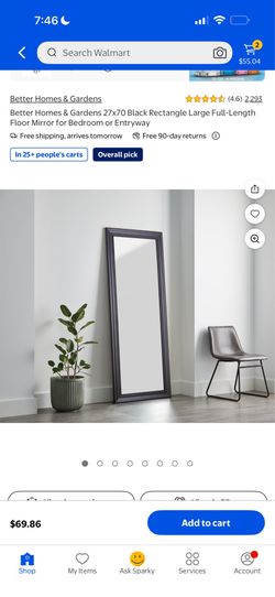 Mirror