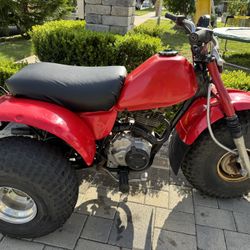 1982 Honda ATC 185