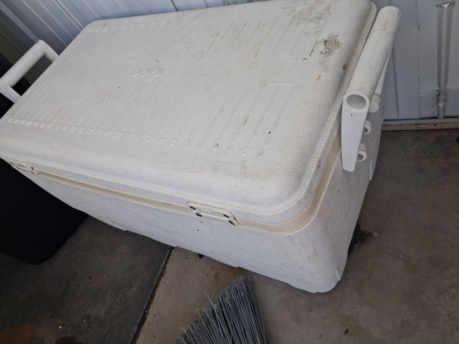 Igloo cooler