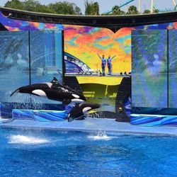Seaworld One Day Admission 