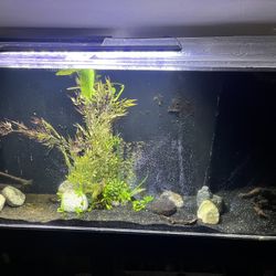 112g Fish Tank