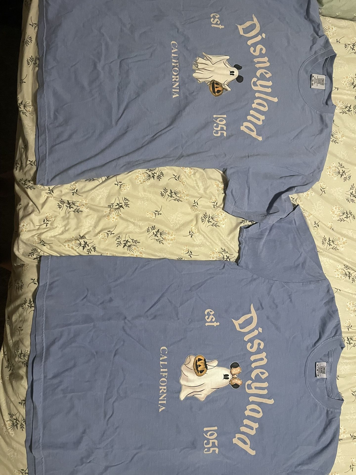 Halloween Themed Disneyland Couple Shirts