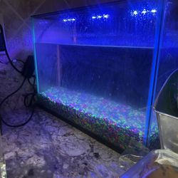 Fish Tank