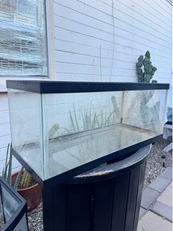 10 gallon aquarium tank