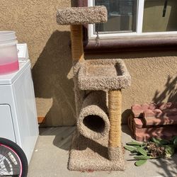 Cat Toy