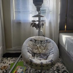 Baby Fisher Swing 