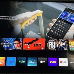 40 “ Vizio D Series 