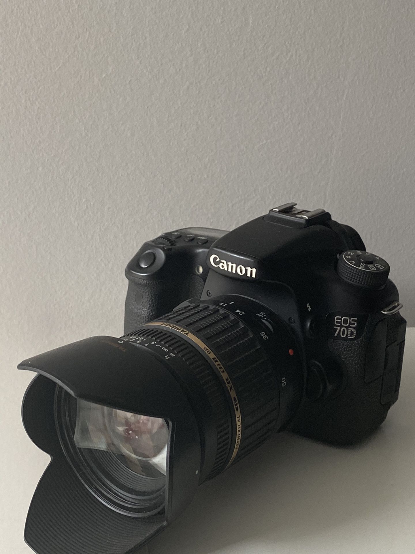 Canon 70D with lenses