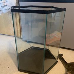 15g Hex Aquarium