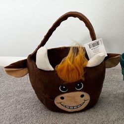 NWT Plush Basket